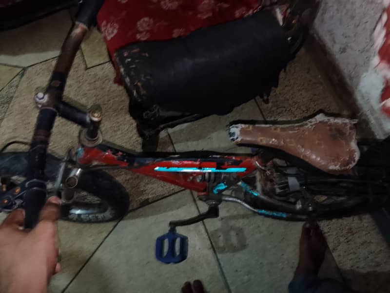 bicycle 2