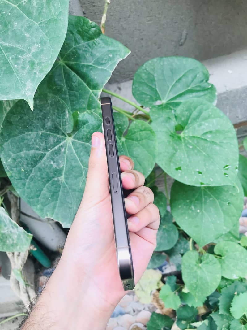 Apple iPhone 16 Pro 3