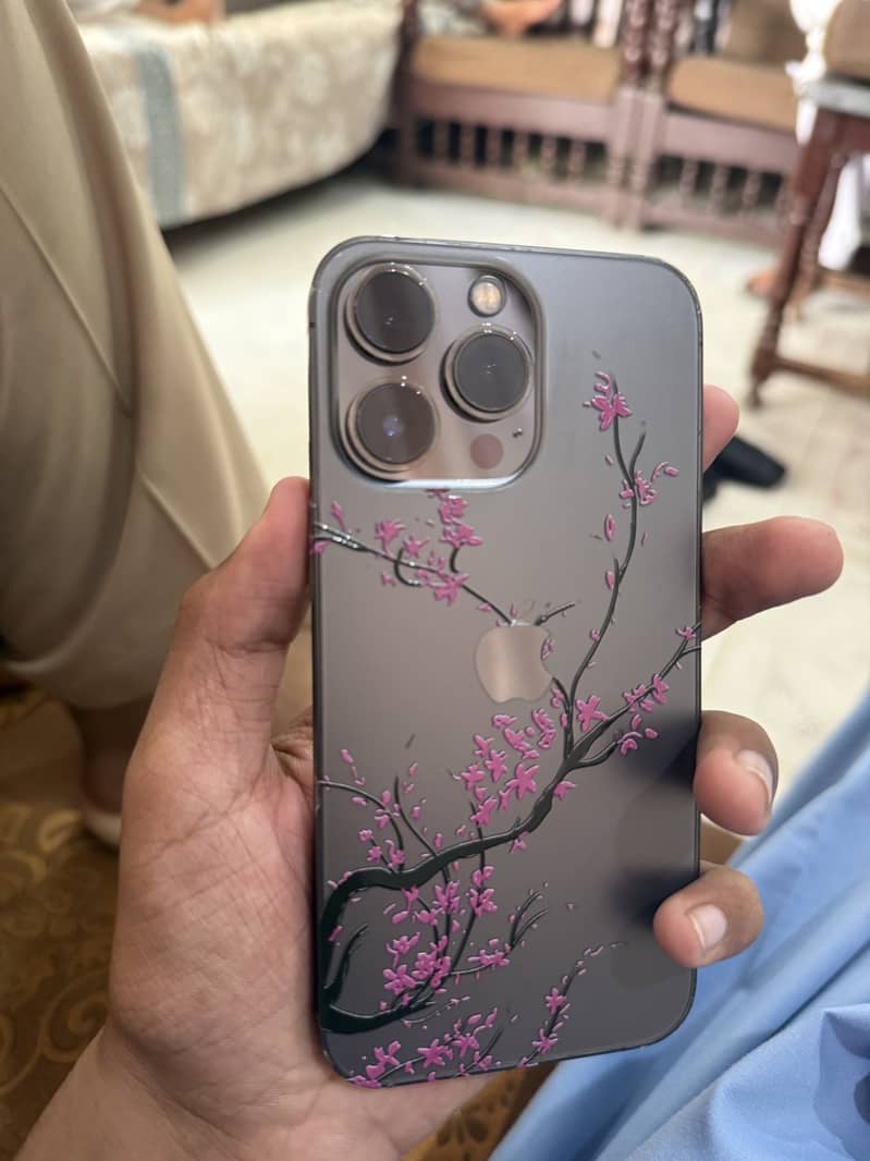 Apple iPhone 13 Pro 0