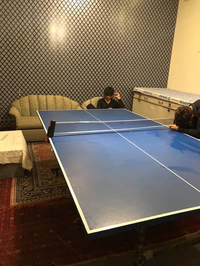 Table tennis full new