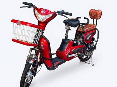 KINGFU DRAGON Bike