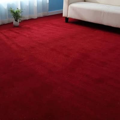 red colour ka carpet hy
