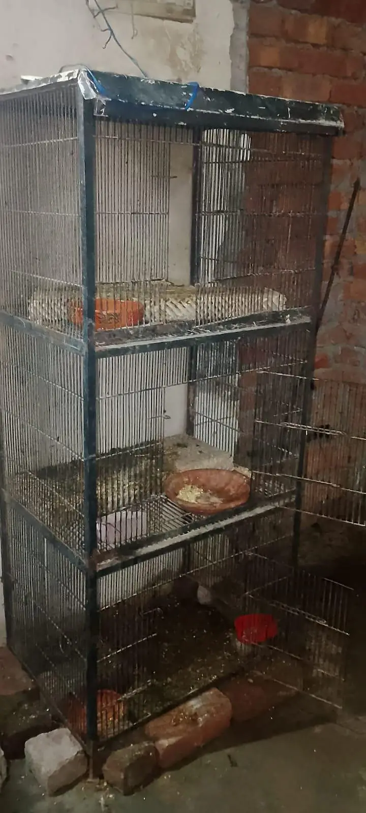 Heavy Iron 3 Portion Bird Cage. — photo 2