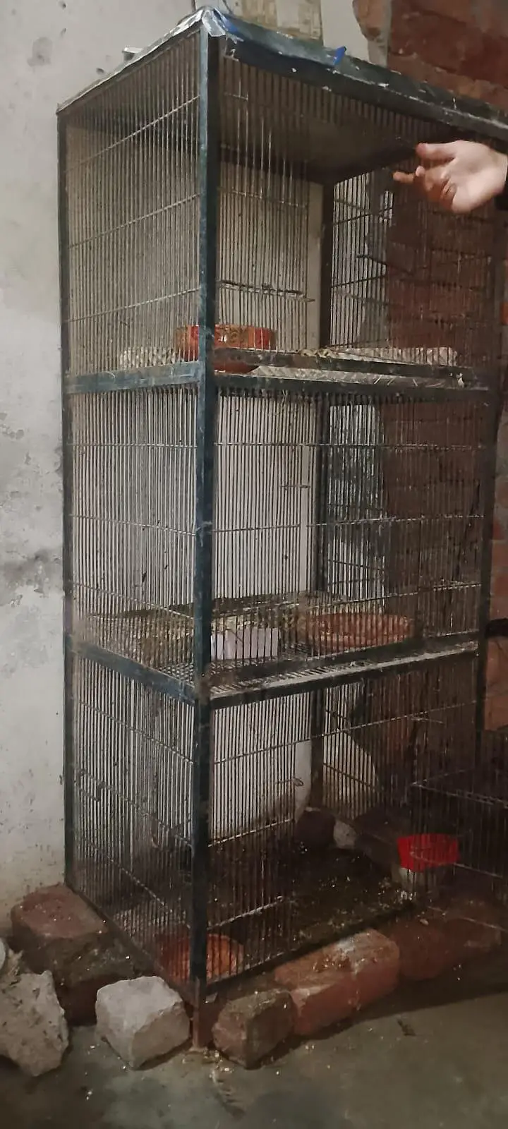 Heavy Iron 3 Portion Bird Cage. — photo 3