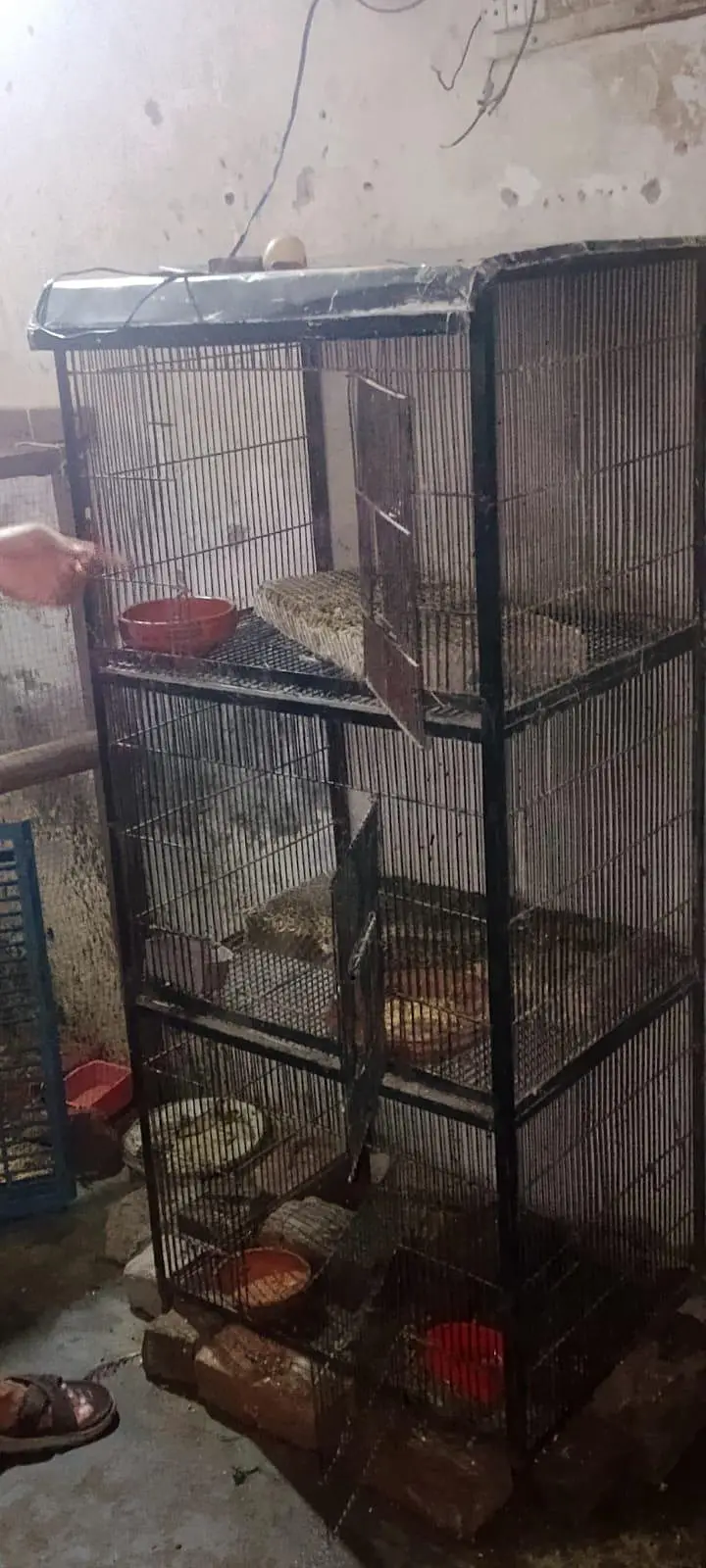 Heavy Iron 3 Portion Bird Cage. — photo 4