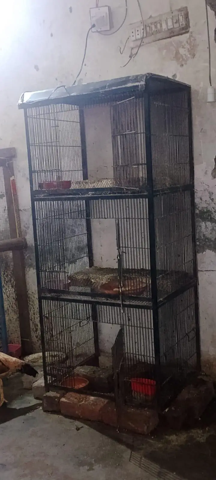Heavy Iron 3 Portion Bird Cage. — photo 6