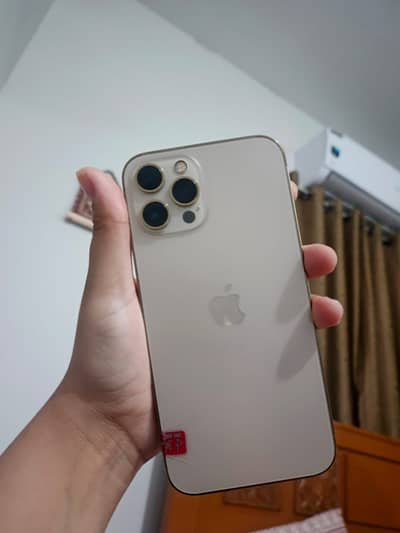 Apple iPhone 12 Pro Max