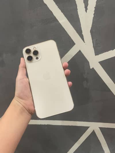 iPhone 12 pm