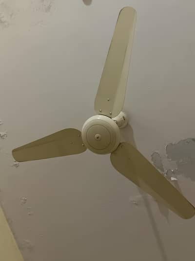Sk delux fan