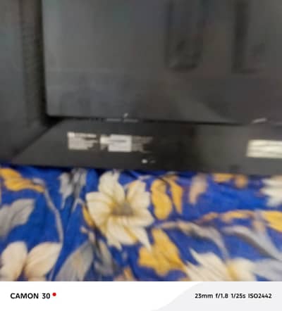moniter 30 inch