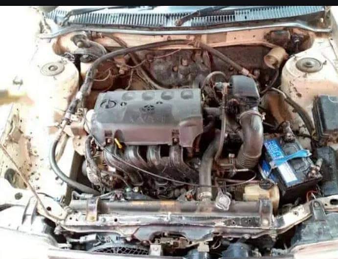 10000  03067151529 0