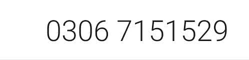 10000  03067151529 8