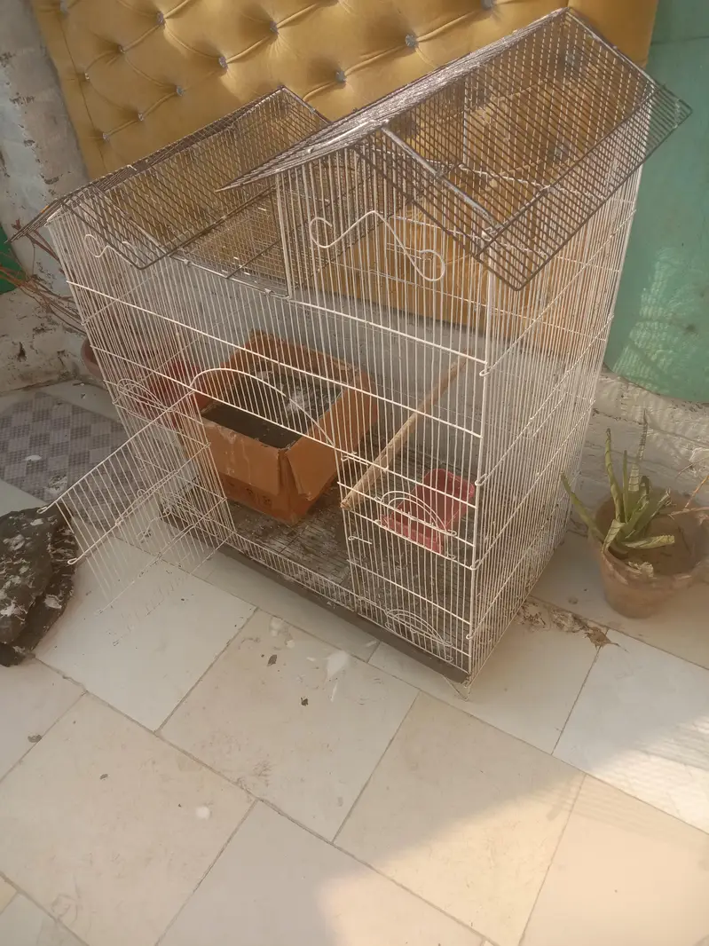parrot cage reasonable price me — photo 2