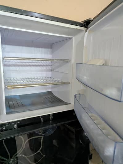 Orient Glass Door Refrigerator