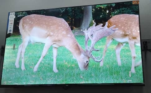 32" Smart LED TV with Free Airpod