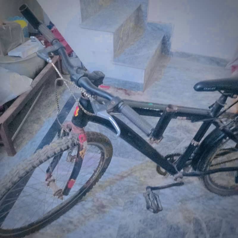 Cycle 0
