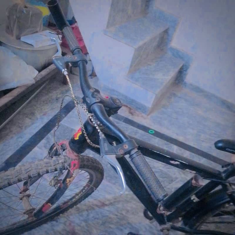 Cycle 3