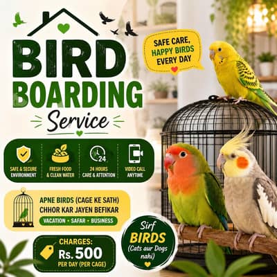 Birds Bording service