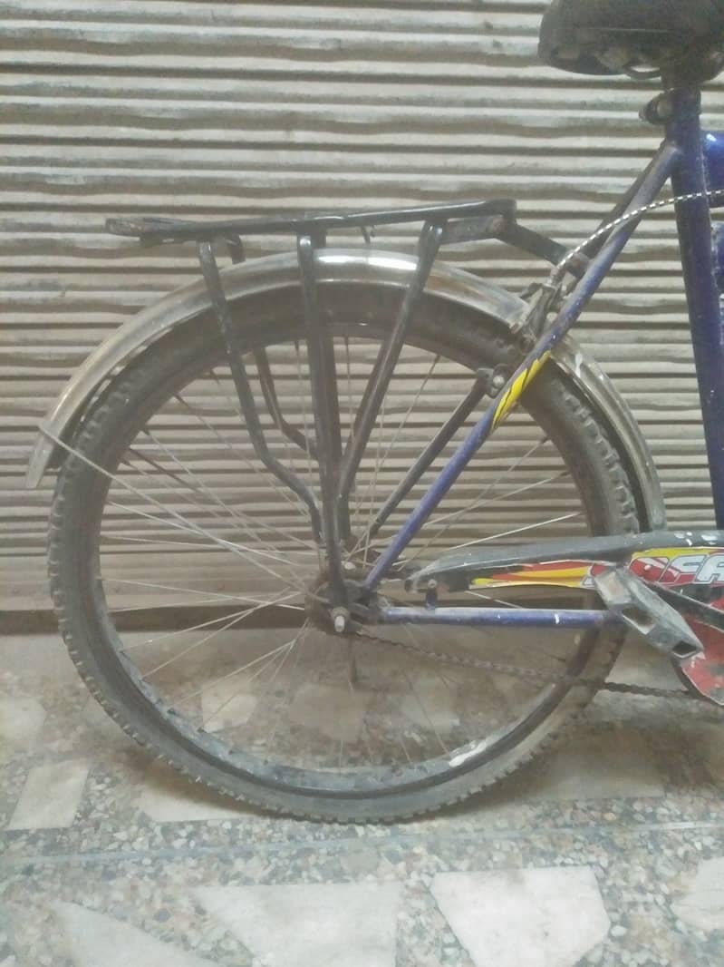 Cycle 1