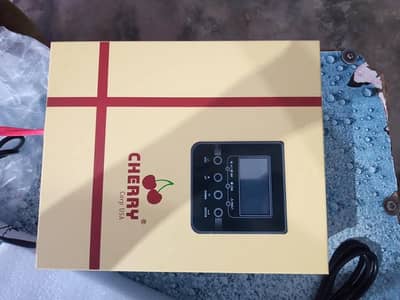 chareey solar  invterter 2000w