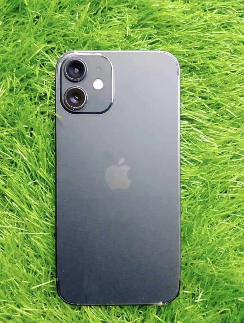 iPhone 12 mini 1