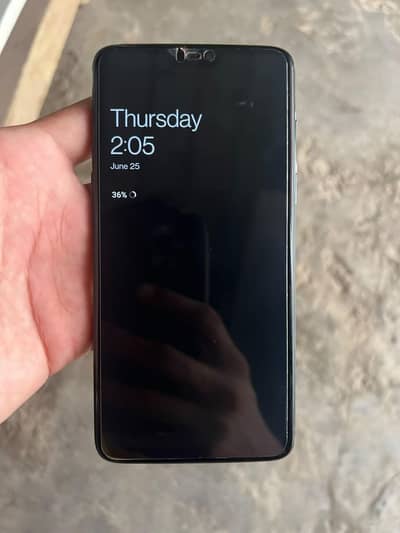 One Plus 6