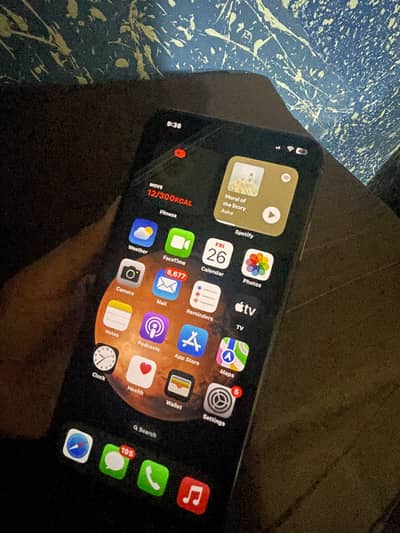 Apple iPhone XS Max
