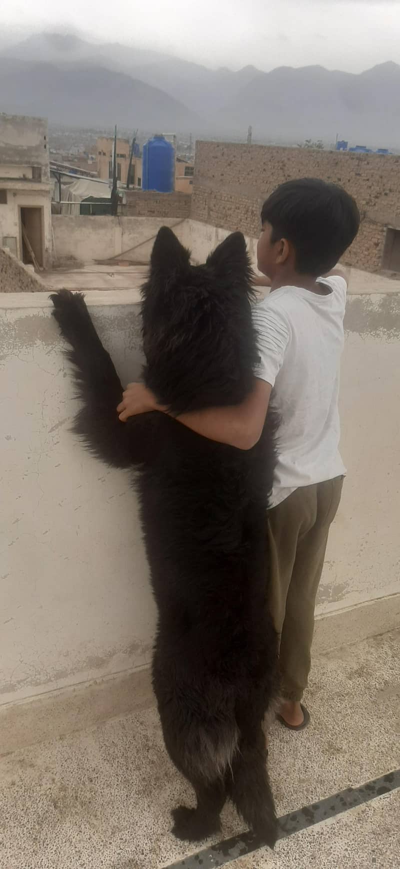 Max and Aish 7