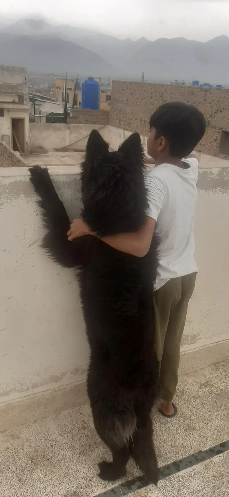Max and Aish — photo 8