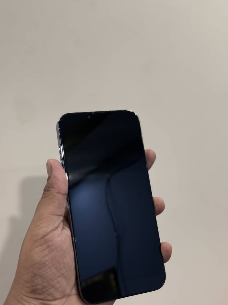 Apple iPhone 13 Pro Max 1