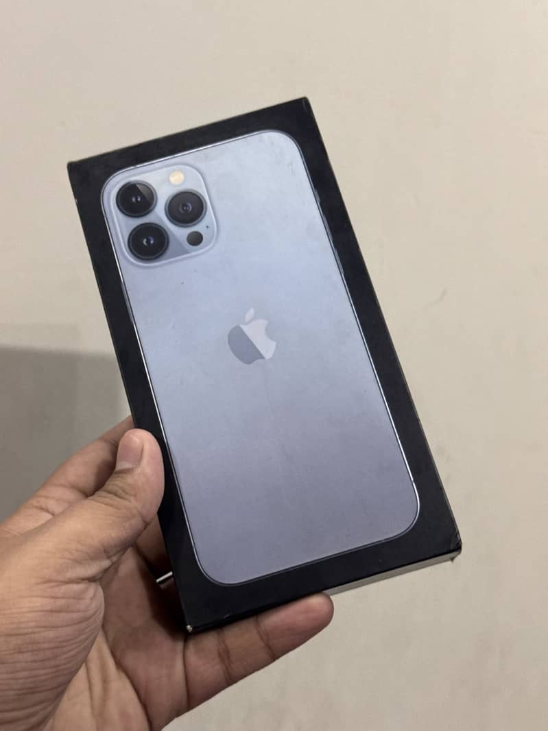 Apple iPhone 13 Pro Max 10