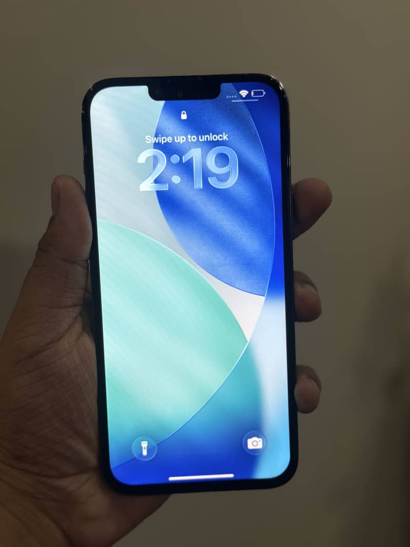 Apple iPhone 13 Pro Max 12