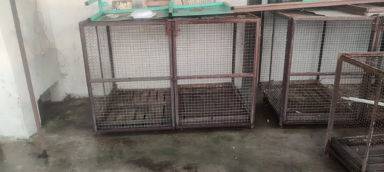 Heavy Metal cages — photo 2