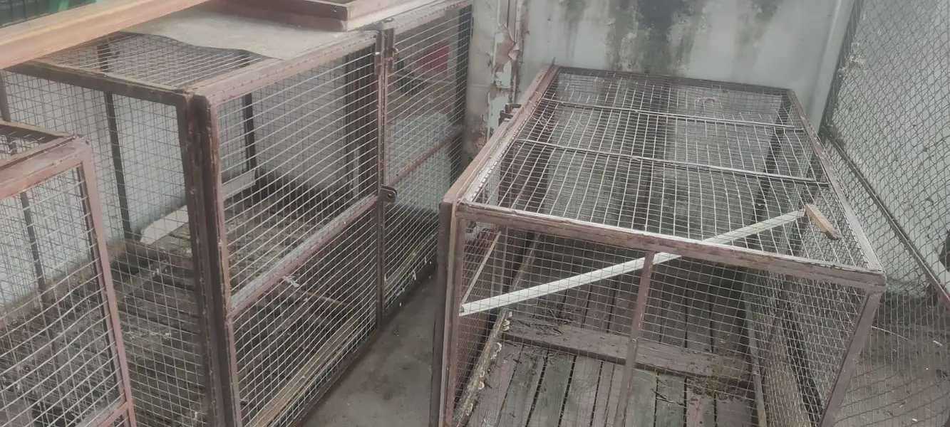 Heavy Metal cages — photo 3