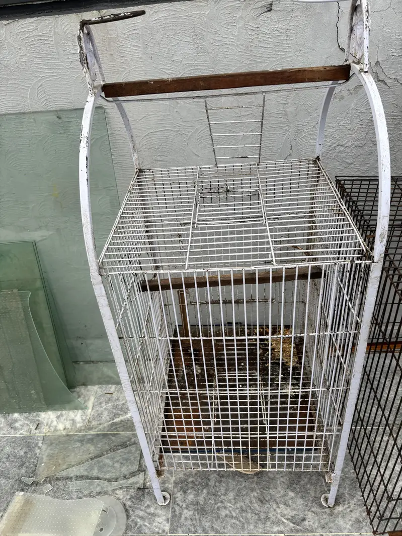 Cage for birds