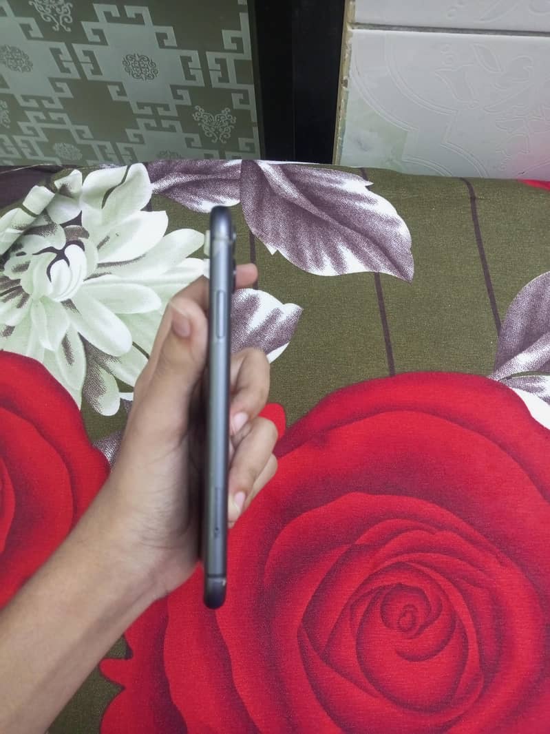 Apple iPhone 11 1