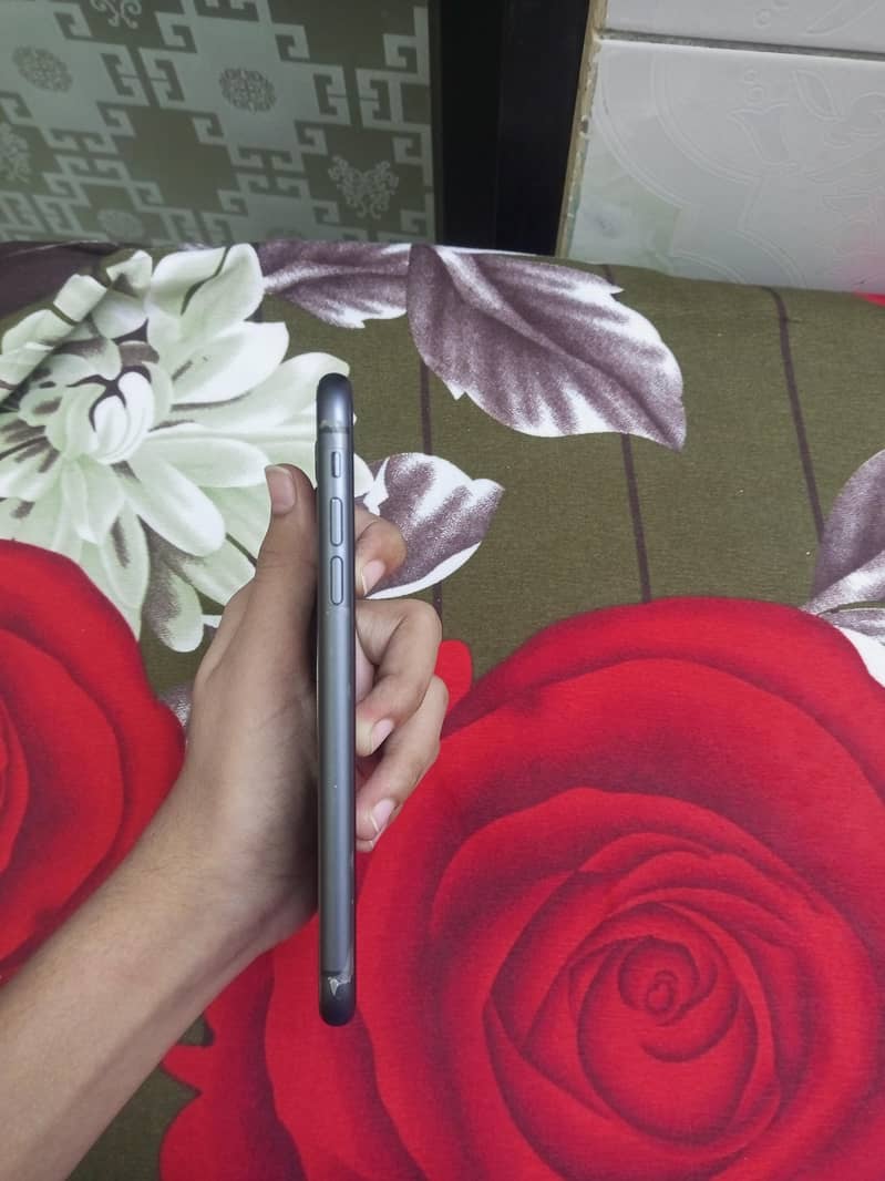 Apple iPhone 11 2