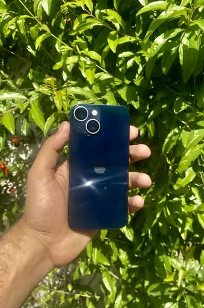 Apple iPhone 13 mini factory unlock