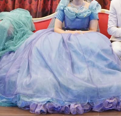 Cindrella Ball Gown Dress (1 time wear only for 2 hours)