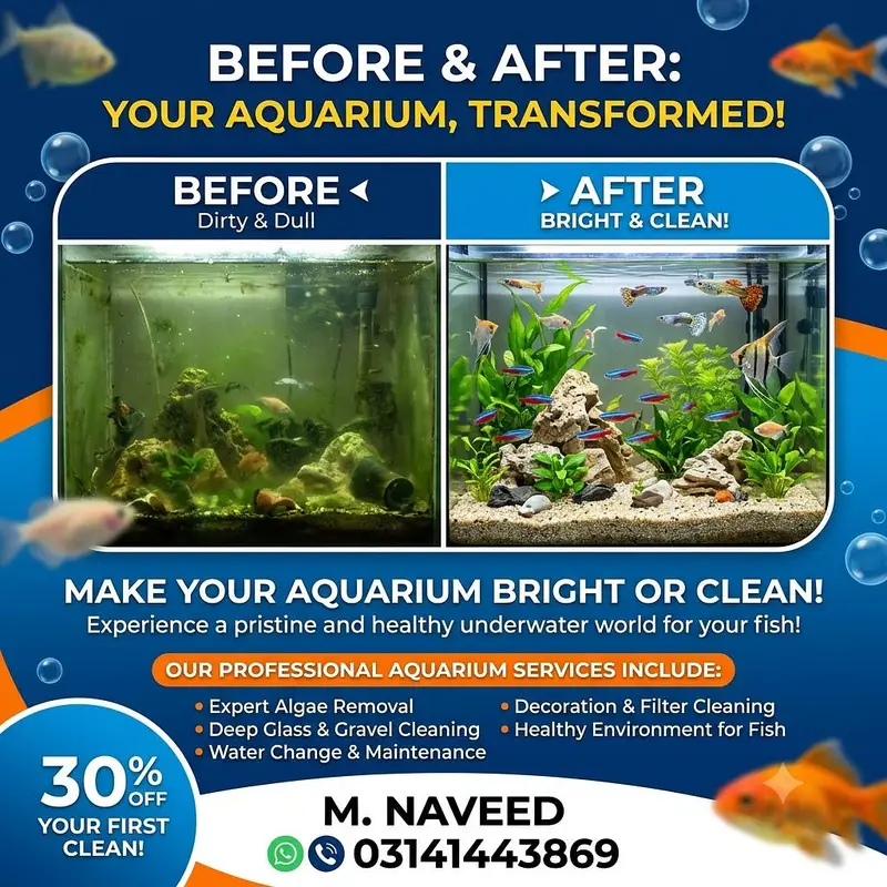 Aquarium cleaning services available 03141443069