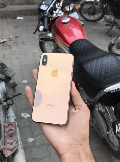 Apple iPhone XS(03298818743)