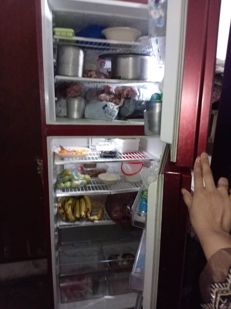 fridge 1