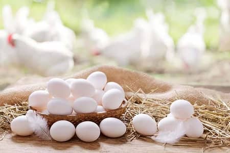 White egg hole sale
