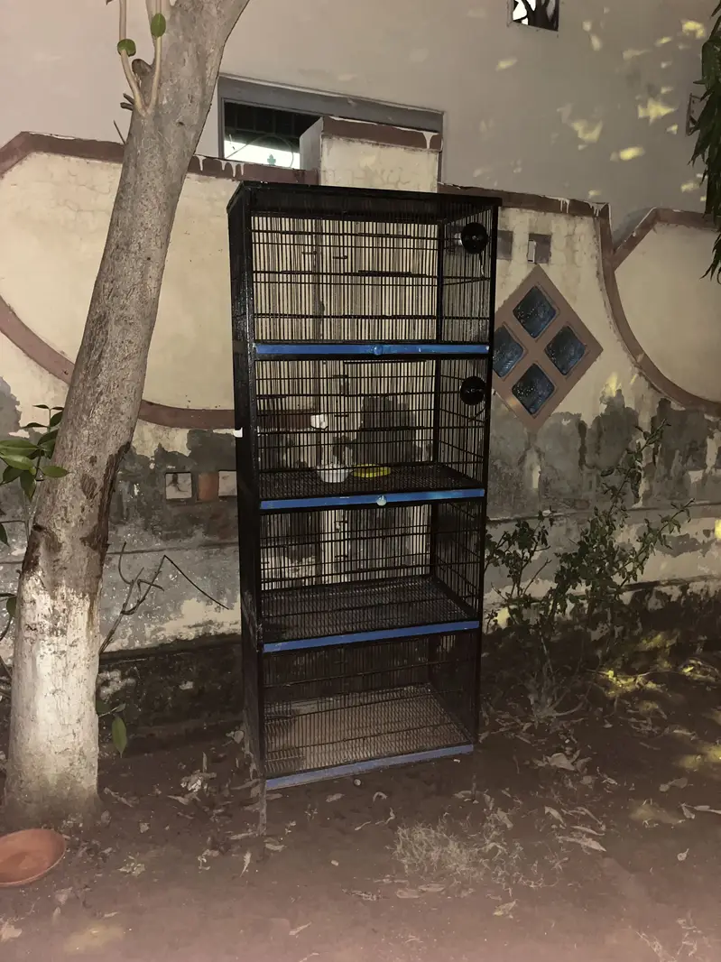 Cages only for sale 2 cages