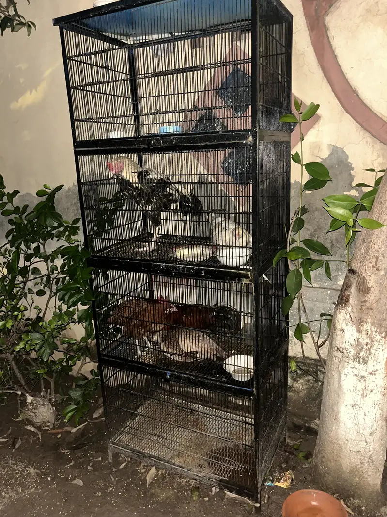 Cages only for sale 2 cages — photo 4