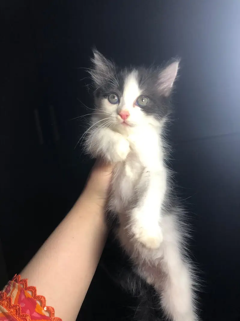 3 month age — photo 2