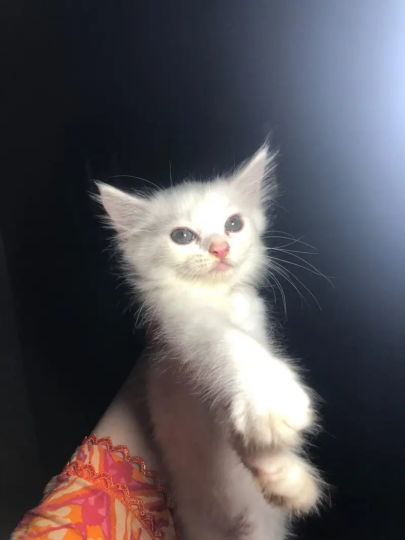 3 month age — photo 3