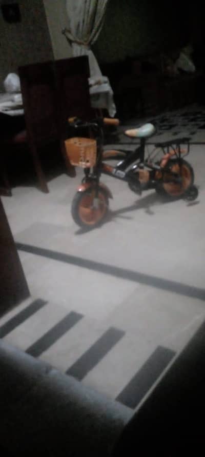 12 inch PHILCO" brand children's bicycle at a very reasonable price.