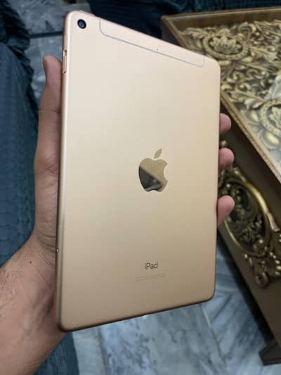 ipad Mini 5