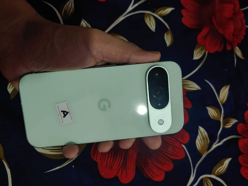 Google Pixel 9 1